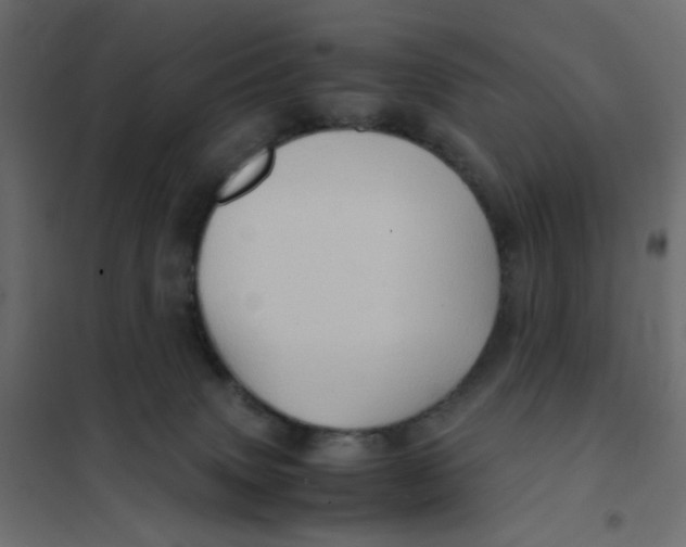 X0000102010083200808081734