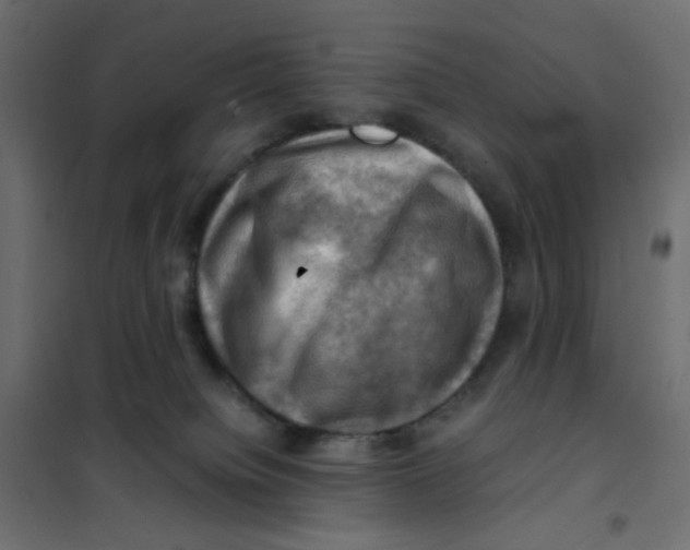 X0000102010084200808081734