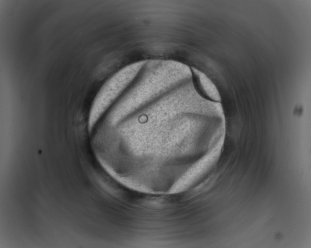 X0000102010086200808081734