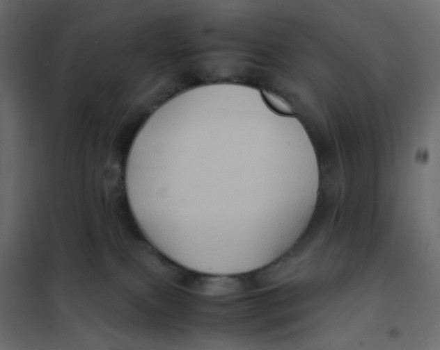 X0000102010087200808081734