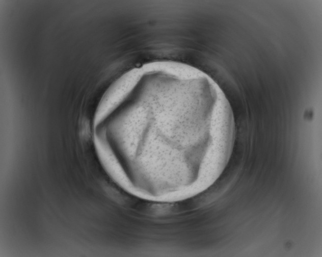 X0000102010089200808081734