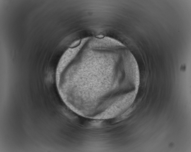 X0000102010090200808081734