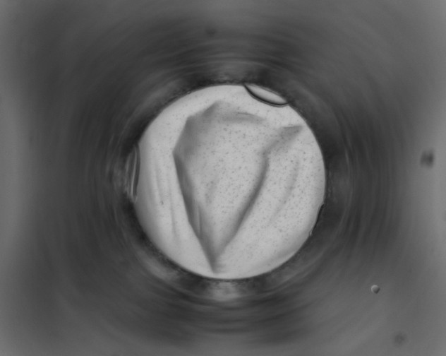 X0000102010091200808081734