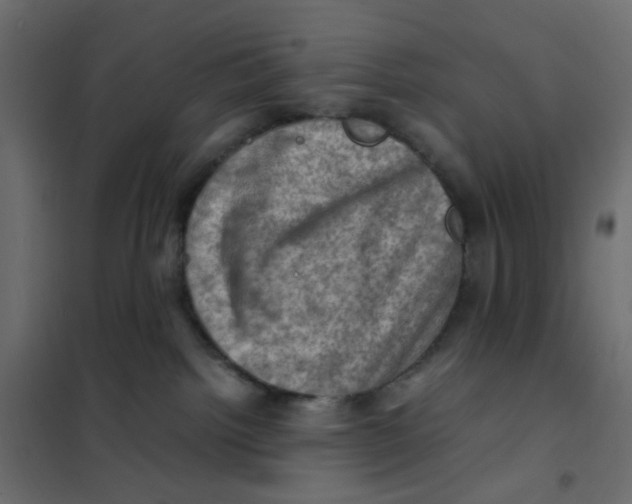 X0000102010092200808081734