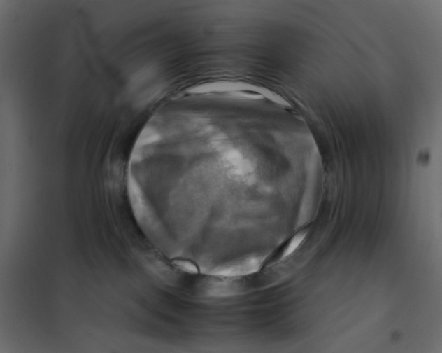 X0000102010093200808081735