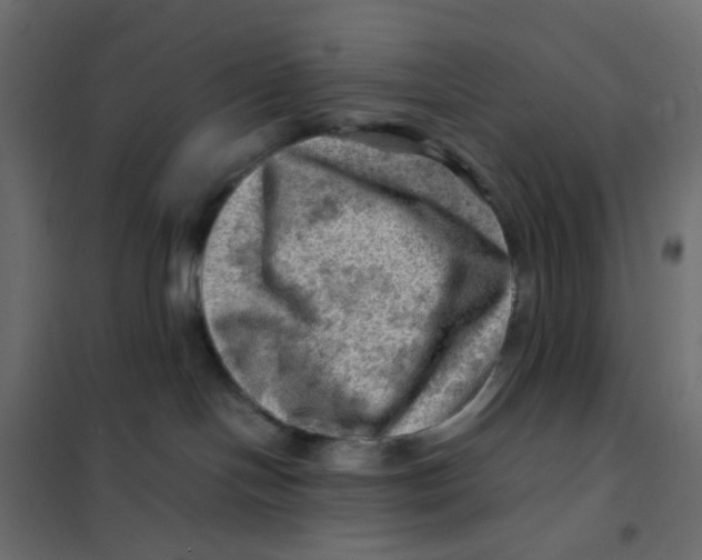 X0000102010094200808081735