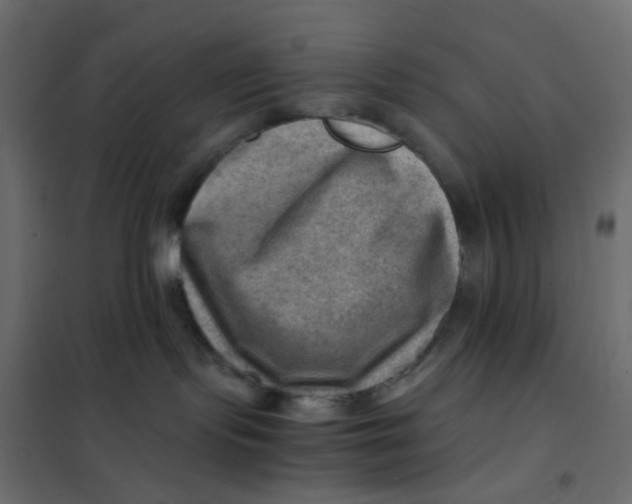 X0000102010095200808081735