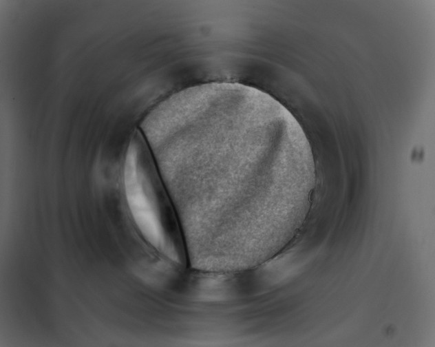 X0000102010096200808081735