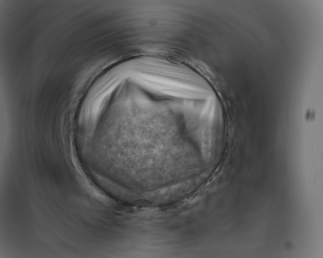 X0000102010097200808081734