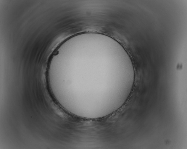 X0000102010098200808081734