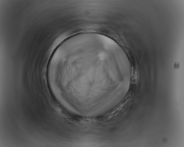 X0000102010099200808081734