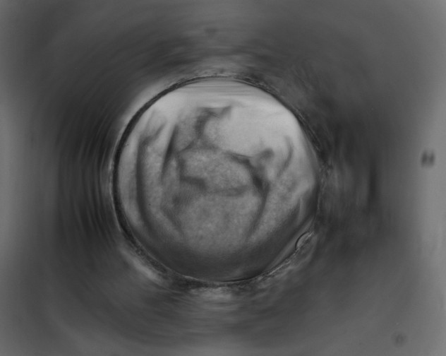 X0000102010100200808081734