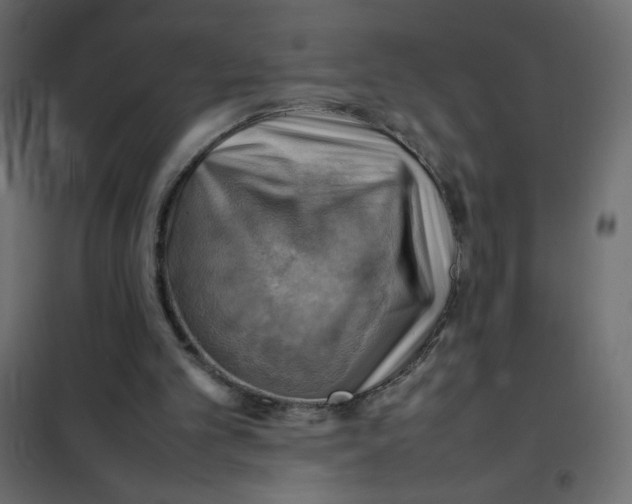 X0000102010101200808081734