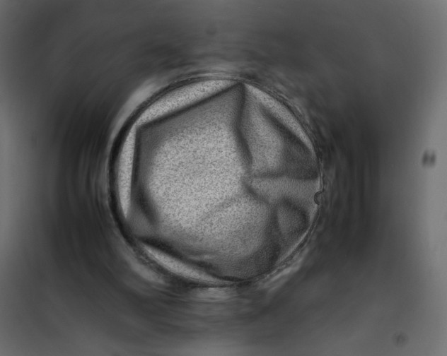 X0000102010102200808081734