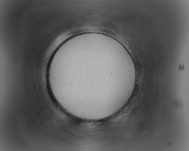 X0000102010103200808081734