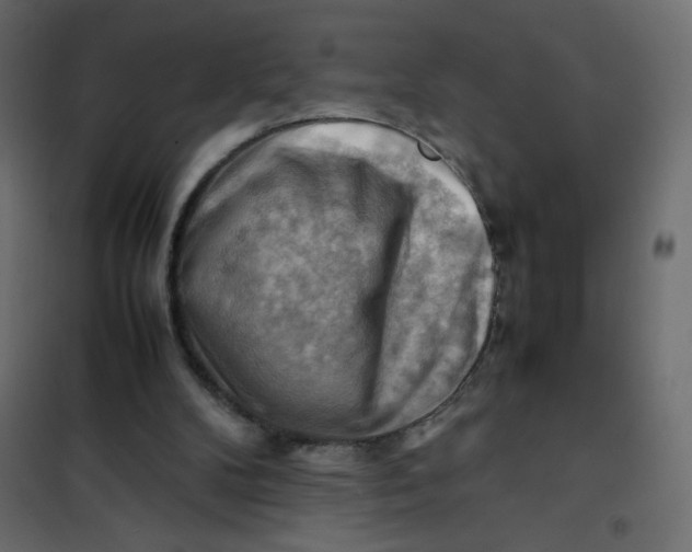 X0000102010104200808081734