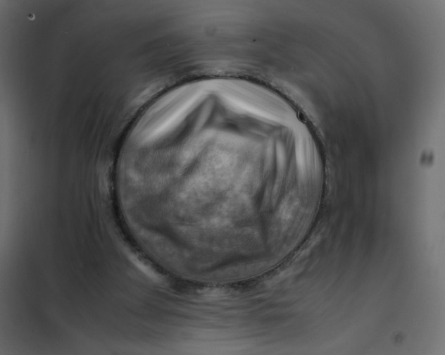 X0000102010105200808081734