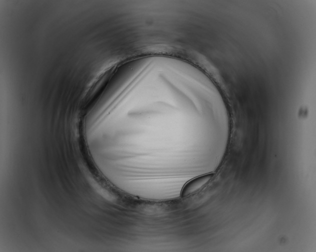 X0000102010106200808081734