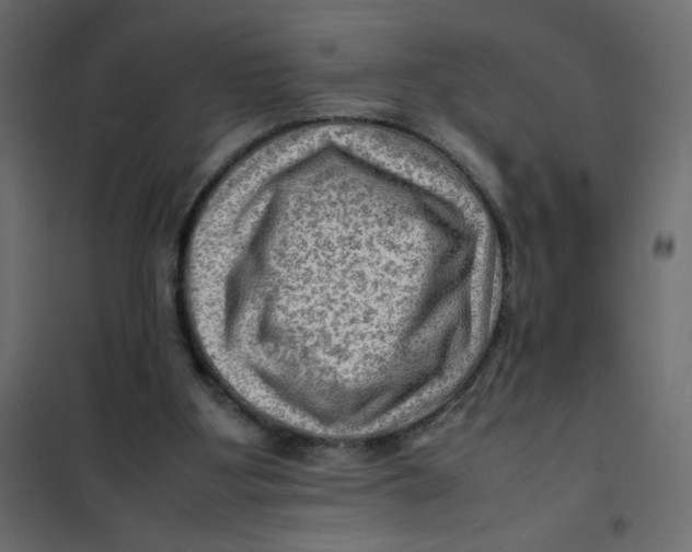 X0000102010107200808081734