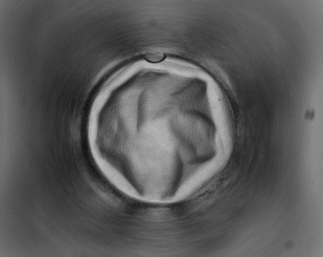 X0000102010108200808081734