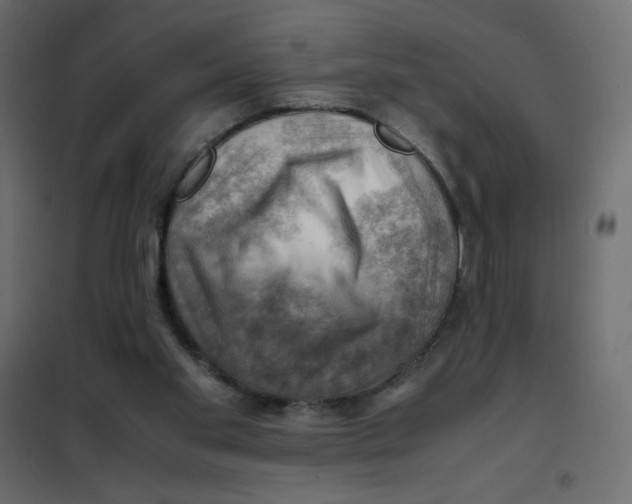 X0000102010109200808081734