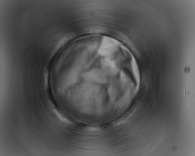 X0000102010110200808081734