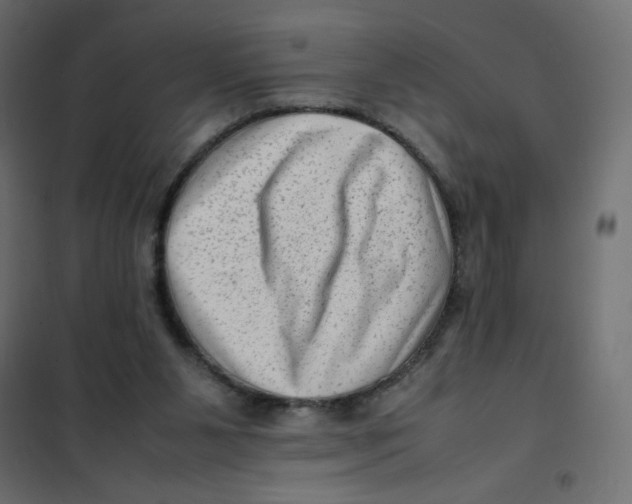 X0000102010111200808081734