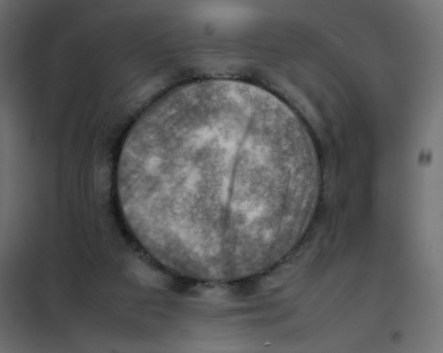 X0000102010113200808081734