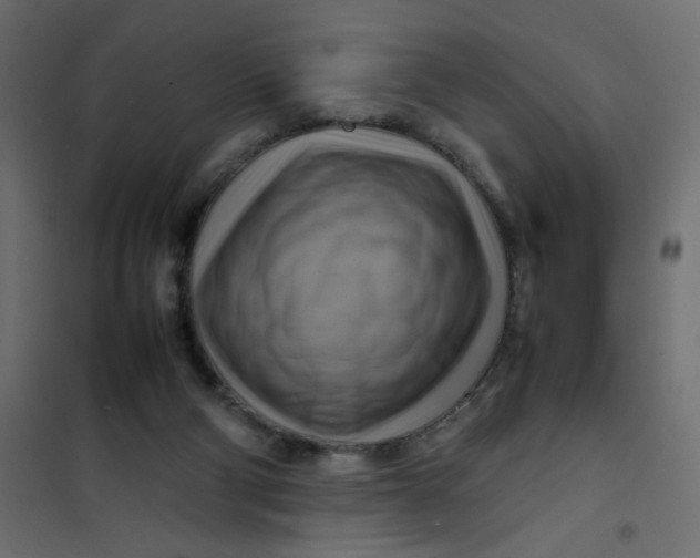 X0000102010114200808081734