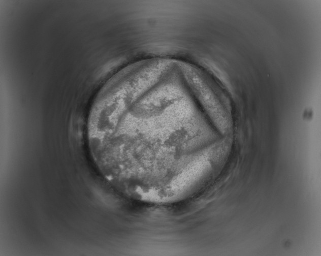 X0000102010115200808081734