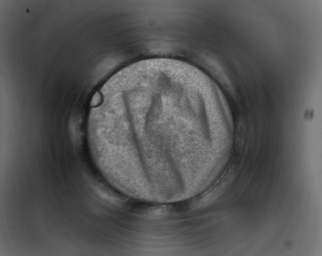 X0000102010116200808081734