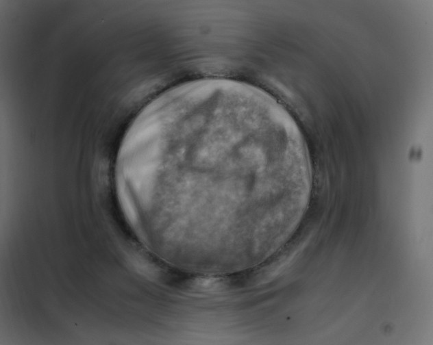 X0000102010117200808081734