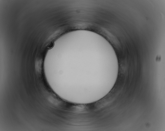 X0000102010118200808081734