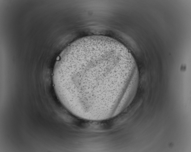 X0000102010121200808081733