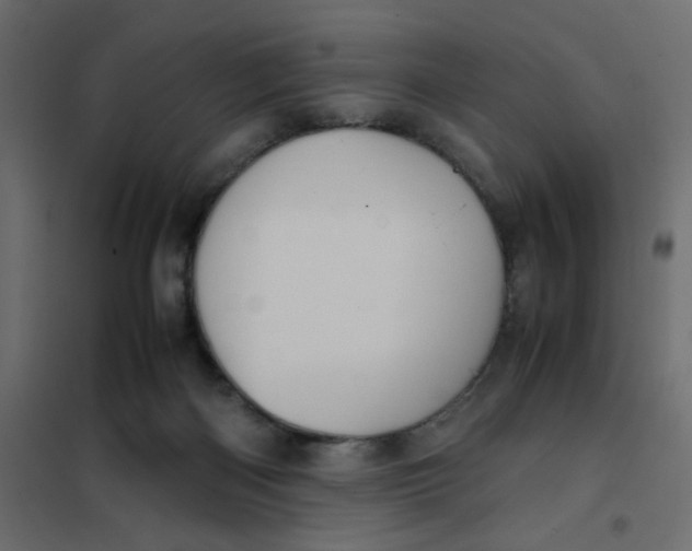 X0000102010122200808081733