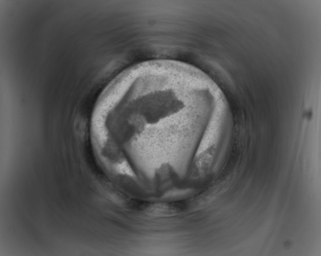 X0000102010123200808081733