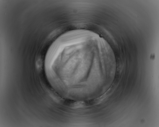 X0000102010124200808081733