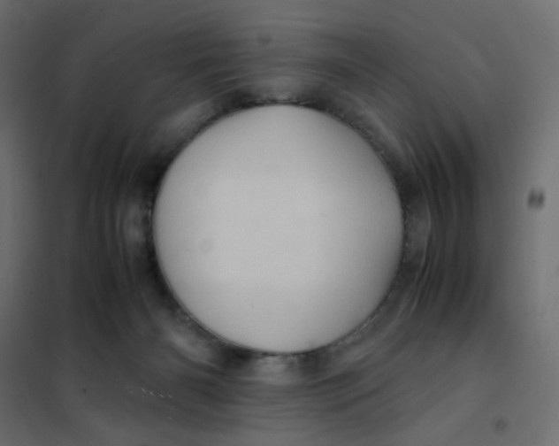 X0000102010126200808081733