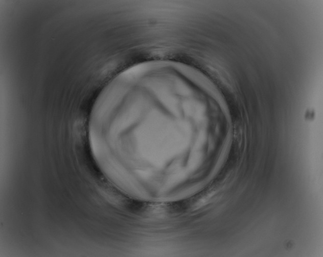 X0000102010127200808081733