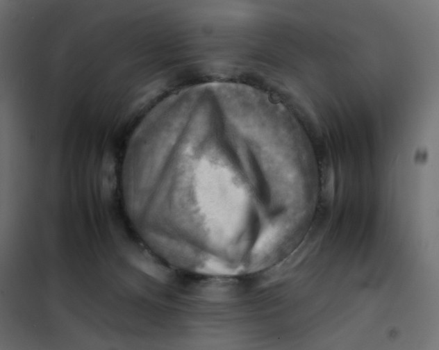 X0000102010128200808081733