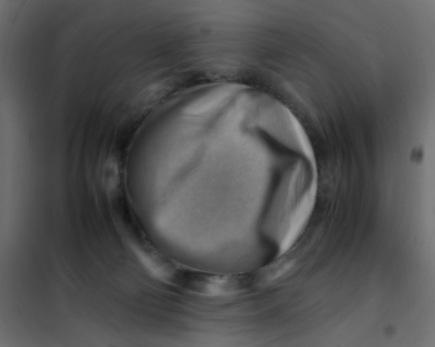 X0000102010130200808081733