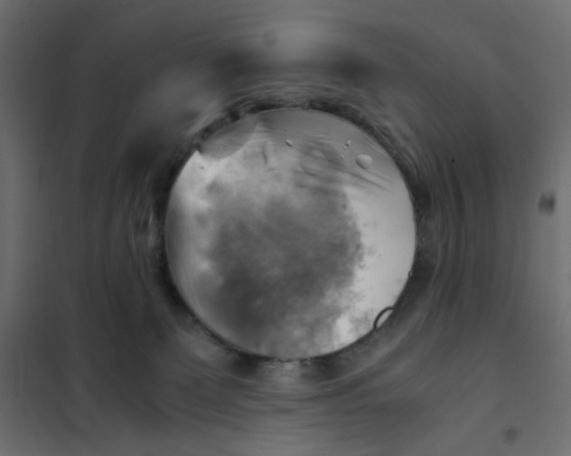 X0000102010131200808081733