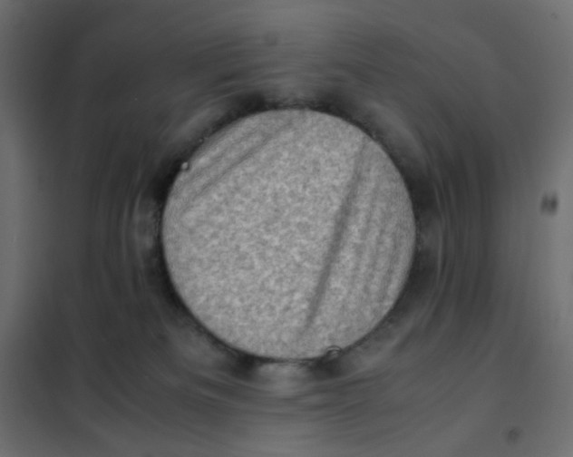 X0000102010133200808081733