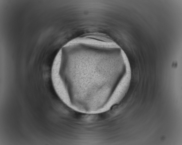 X0000102010135200808081733