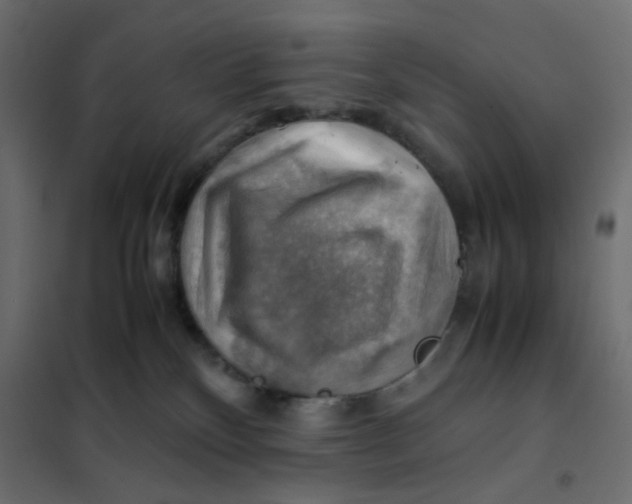 X0000102010136200808081733