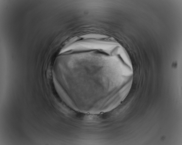 X0000102010137200808081733