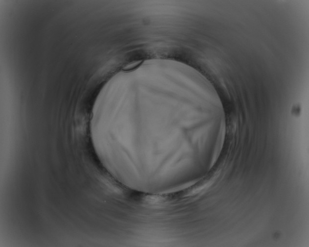 X0000102010139200808081733