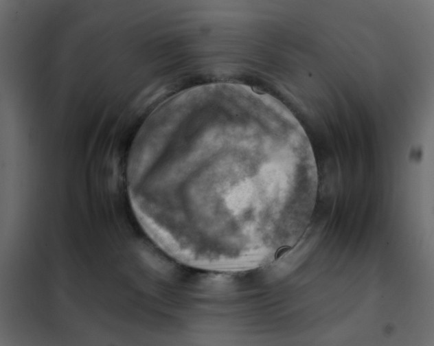 X0000102010140200808081733