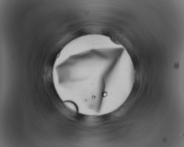 X0000102010141200808081733