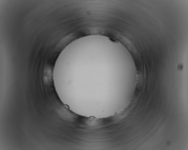 X0000102010142200808081733